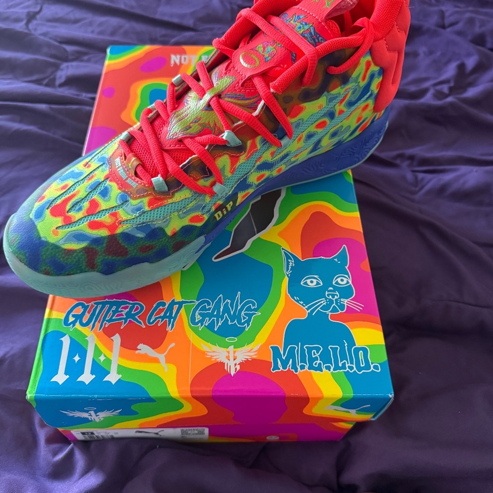 Melo gutter cat gang